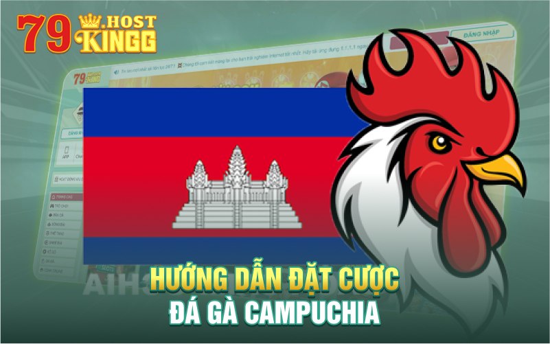 Theo dõi và đặt cược đá gà Campuchia tại Campuchia